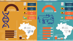 Exemplo de dashboard em Power BI desenvolvido pela Excelência Consultoria - bi_example_21-00968e1a